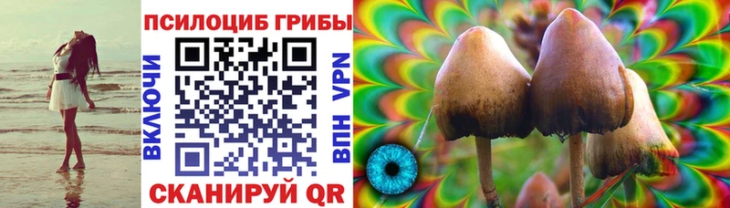 Псилоцибиновые грибы мухоморы  Шали 